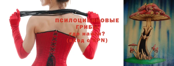 круглые Вяземский